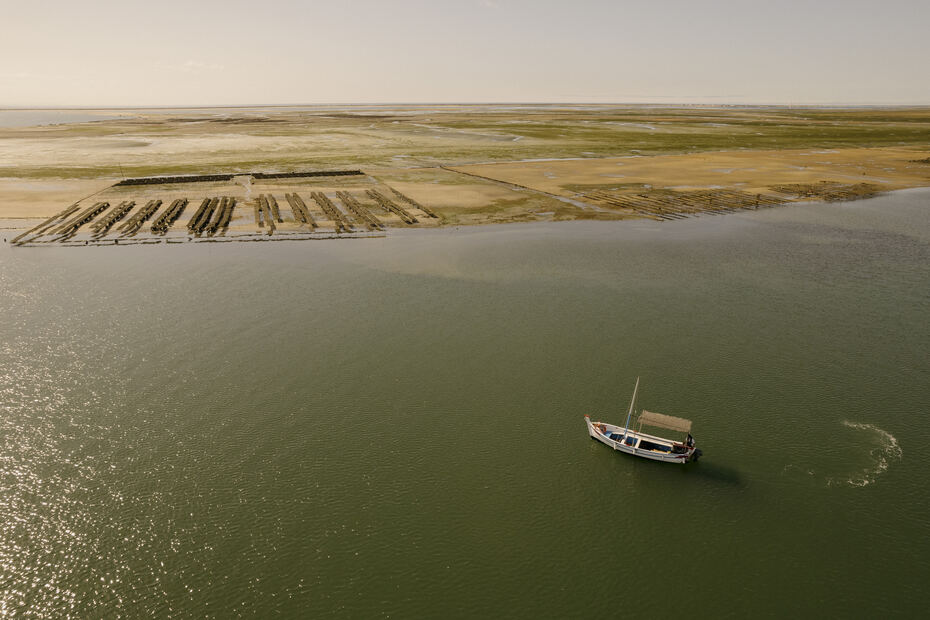 Fishing boats