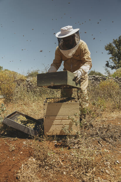 Honey Harvest Experience