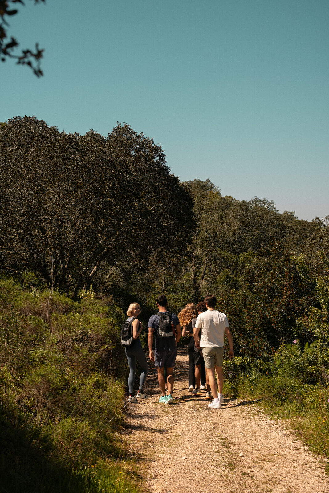 Wandelaars op een pad door het heuvelland van de Algarve