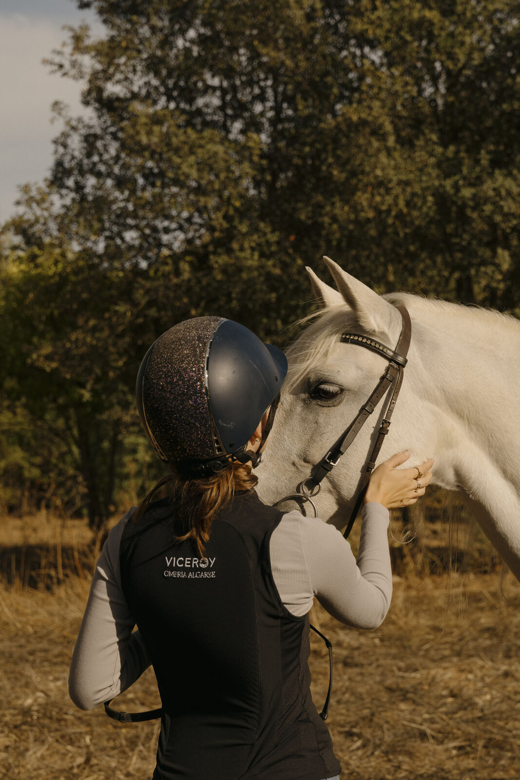 Ruiter bij een wit paard